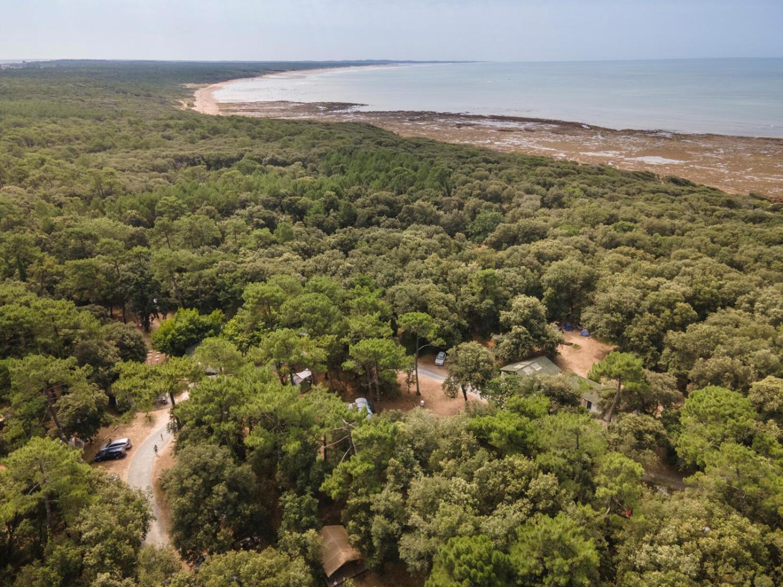 Huttopia Oleron Les Chenes Verts โดลุส โดเลรง ภายนอก รูปภาพ
