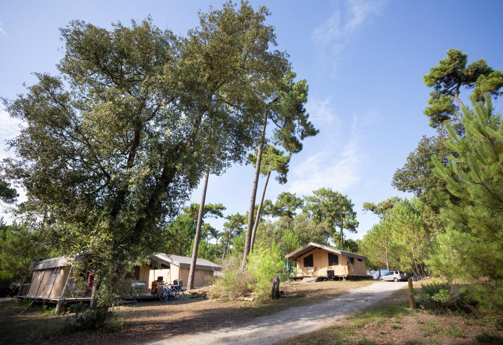 Huttopia Oleron Les Chenes Verts โดลุส โดเลรง ภายนอก รูปภาพ